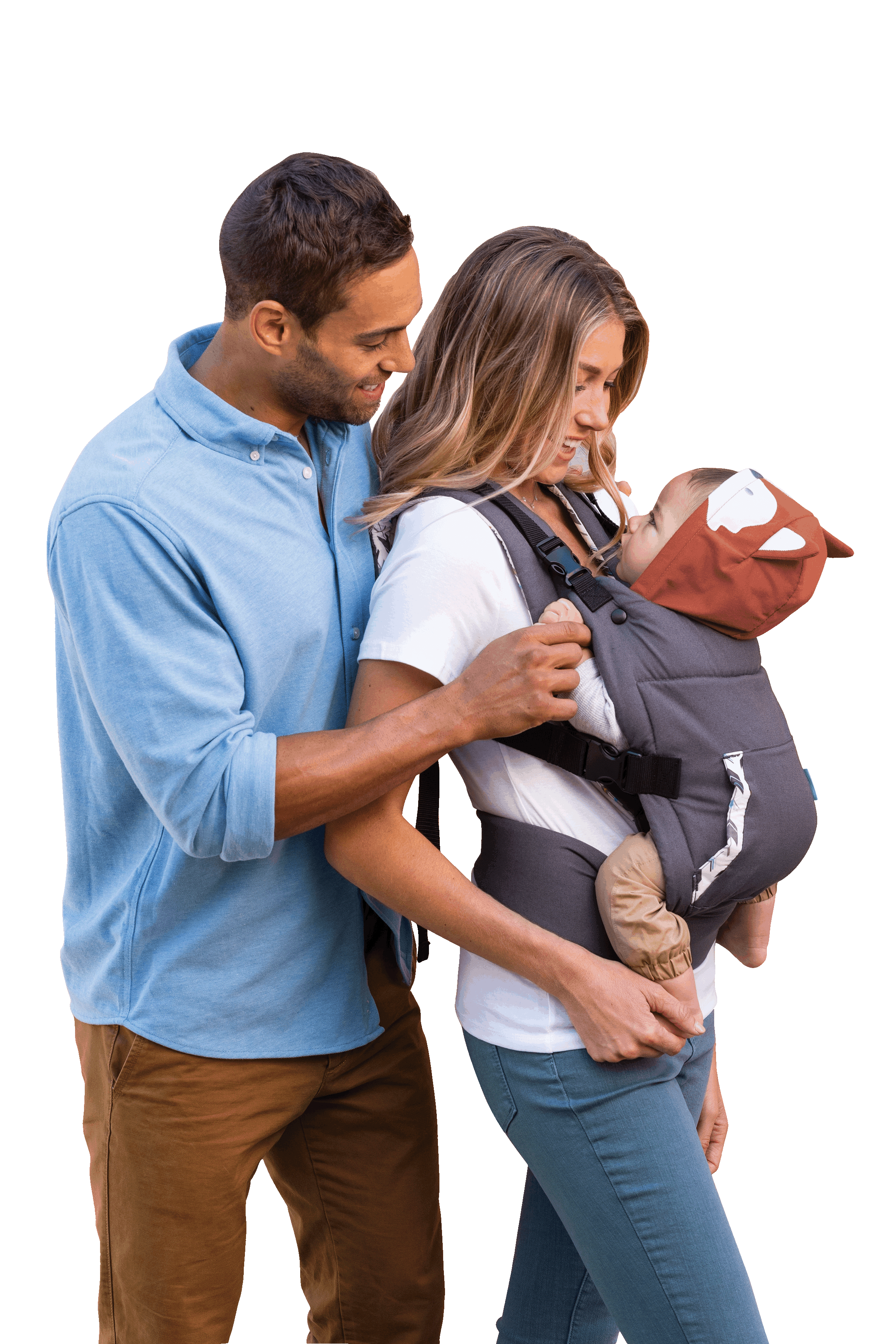 infantino fox carrier