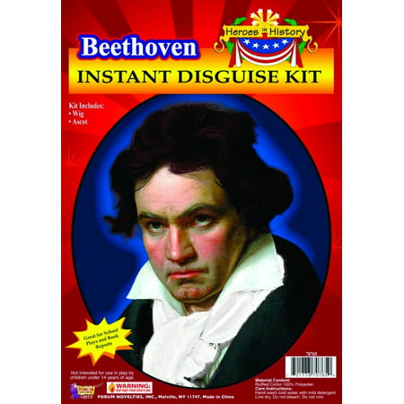 Hero in History Dress Up Kit Ludwig Van Beethoven Wig Ascot Costume