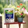 thumbnail image 2 of Schultz Potting Soil Plus 9L, 2 of 5