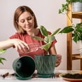 thumbnail image 6 of FOUKUS 6 inch Plastic Plant Pots: 5 Pack Indoor Planters with Drainage and Tray Outdoor Flower Pots, Green Gold, 6 of 6