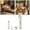 White, variant on Home Appliances Cordless Handheld Pet Hair Vacuum 3-in-1 Grooming Brush with Strong Suction Rechargeable Portable Vacuum for Home and Car Cleaning
