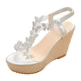 thumbnail image 1 of DAFEI Sandales Compensées Décontractées pour Femmes Chaussures à Plateforme Sandales Rétro Classiques Chaussures Compensées Décorées de Papillons, 1 of 7