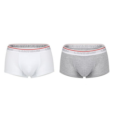 

BIZIZA 2 Pack Stretch Soft Trunks for Men Breathable Pouch Briefs Comfort Male Underwear White XL