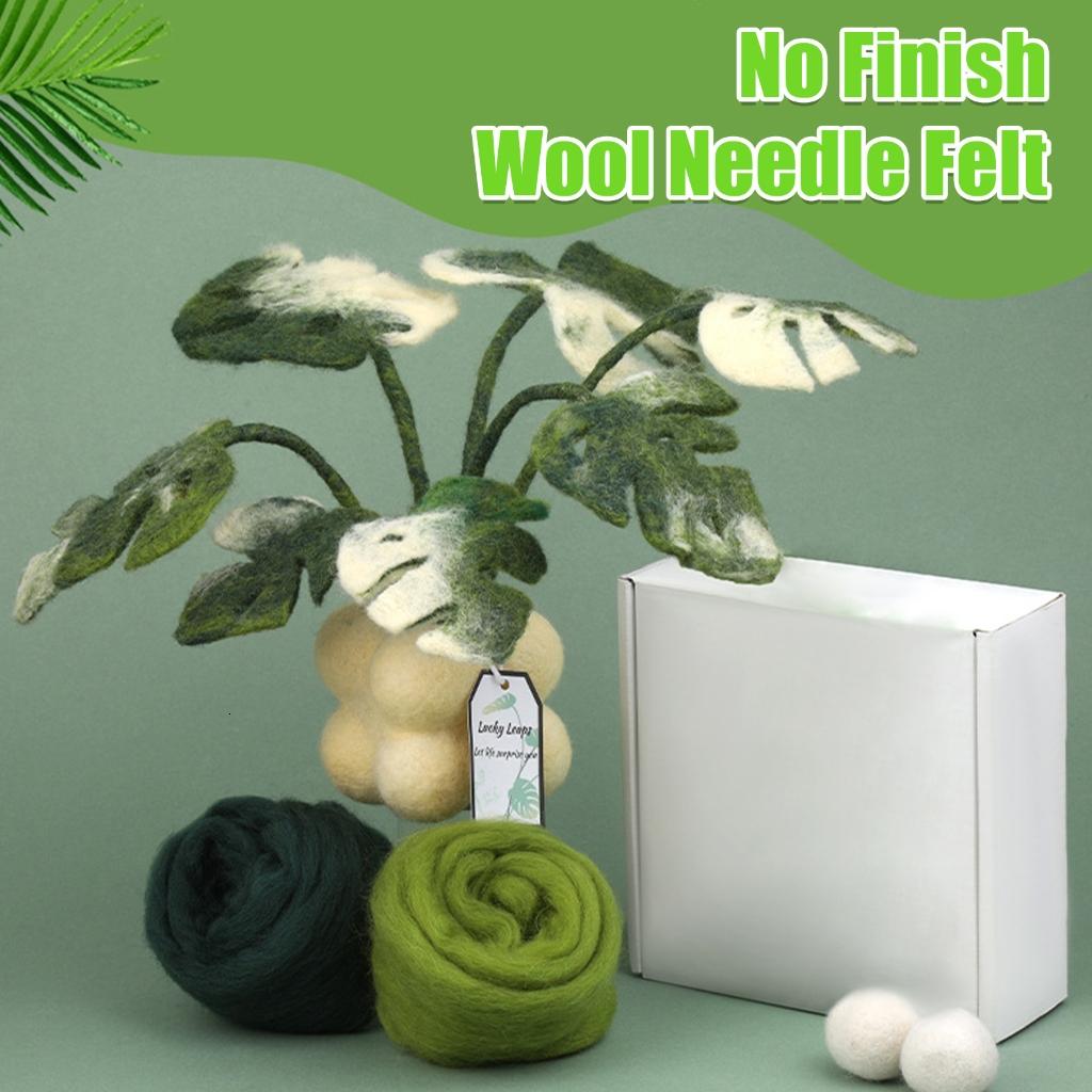 Rvaymup Monstera Plant Needle Felting Set with Felting Needle Instruction Felting Pad