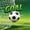 Green White, variant on Manfei Soccer Sport Twin Comforter Sets, Goal Print Football Field Bedding Set, Green White, Reversible 2 Pieces 1 Comforter and 1 Pillowcase