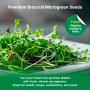 Organo Republic - Broccoli Sprouting & Microgreens Seeds 1LB - 130000+ Non GMO Heirloom Seeds