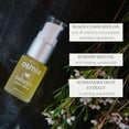thumbnail image 4 of Champú Hair La Vie para crecimiento, volumen y salud del cuero cabelludo | Derivado natural con árbol de té y aceite de menta, además de queratina y palma enana americana | Sin sulfatos ni parabenos |, 4 of 5