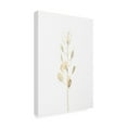 thumbnail image 2 of Trademark Fine Art Pictufy Studio Solitary Dried Plant Light Grey Canvas Wall Art, 2 of 4