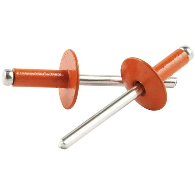 Allstar Performance ALL18179 Large Head Aluminum Rivet, Orange - Pack of 250
