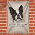 thumbnail image 2 of Boston Terrier Dog Breed Home Business Office Sign, 2 of 4