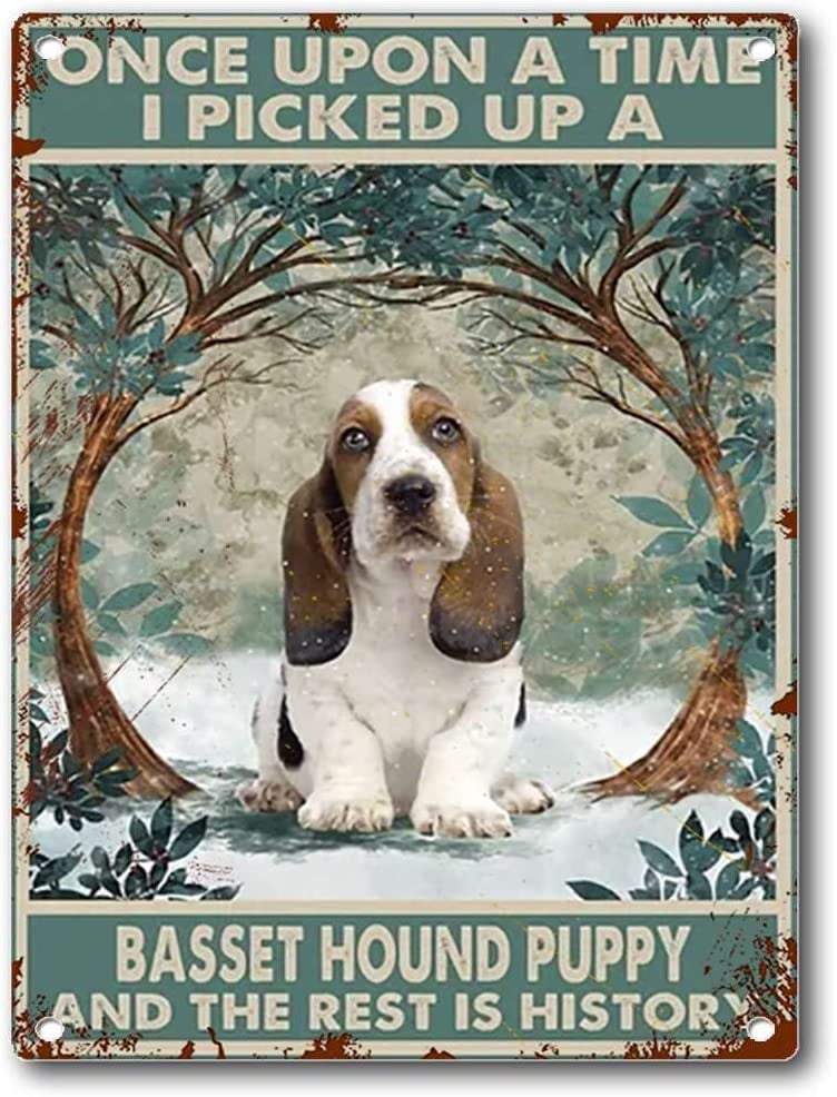 Are Basset Hounds Loving