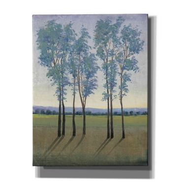 Epic Graffiti 'Acreage I' by Tim O'Toole, Canvas Wall Art, 26"x34"
