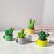 thumbnail image 1 of Decoración del coche Presión reducida Lindo cactus verde Resina Juguete Ornamento de cactus, 1 of 2