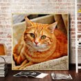 thumbnail image 4 of Cuadros Decorativos Kit de pintura de diamante 5D, imagen de mosaico de taladro redondo completo de gato DIY (B3412) Likrtyny embutido en tela, 4 of 6