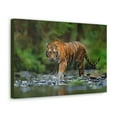 thumbnail image 2 of Tiger Hunting Tiger on Hunt Print Animal Wall Art Wildlife Canvas Prints Wall Art Ready to Hang Unframed, 2 of 18