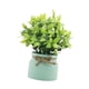 thumbnail image 4 of Pequeñas plantas falsas, plantas artificiales en macetas, mesa decorativa, centro de mesa, adorno de escritorio, plantas de imitación para alféizares Verde, 4 of 10