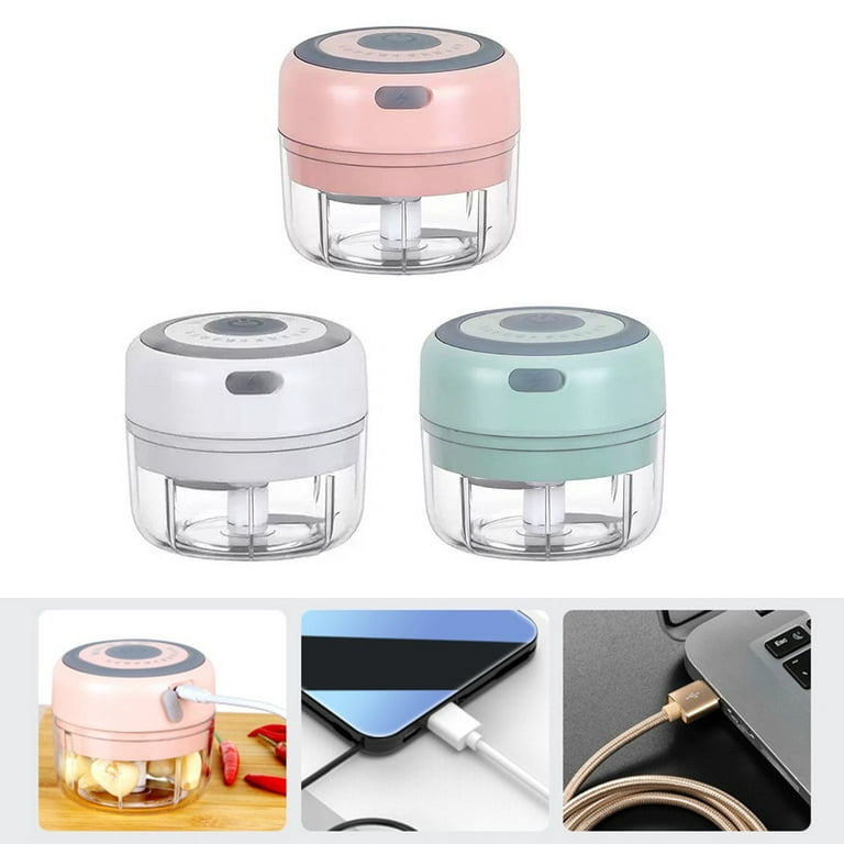 Lecone Electric Garlic Chopper, Mini Chopper Food Processor 350ml Small USB  Rechargeable Cordless Portable Onion Ginger Mincer for Vegetable Pepper