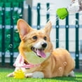 thumbnail image 4 of Shisuyan Pulvérisateur de Douche pour Chien Design Portable Rond Lot de 1 2.6X2.1X2.1in, 4 of 9