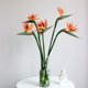 thumbnail image 4 of 1 pieza de flores artificiales - Ave del paraíso - 55 cm - Ramos de flores tropicales de imitación para oficina, hogar, fiesta, arreglo, plantas en maceta TUNC Sencillez, 4 of 5