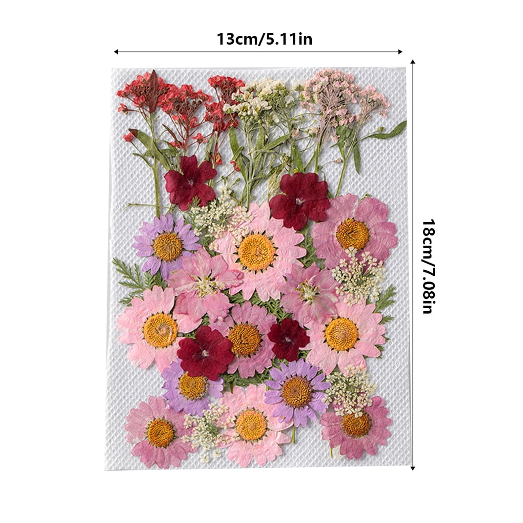 Irene Inevent Natural Dried Flower Handmade Plants Art Leaves