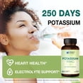 thumbnail image 5 of Vitamin World Potassium 99 mg Minerals Vegetarian Dietary Supplement 250 caplets, 5 of 7