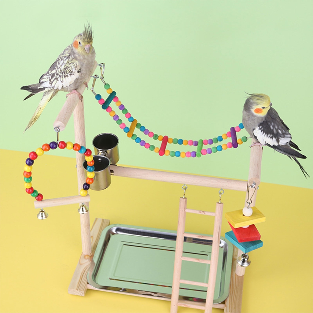Colorful Bridge Training Bird Parrots Standing Supplies Bird Stands Toy