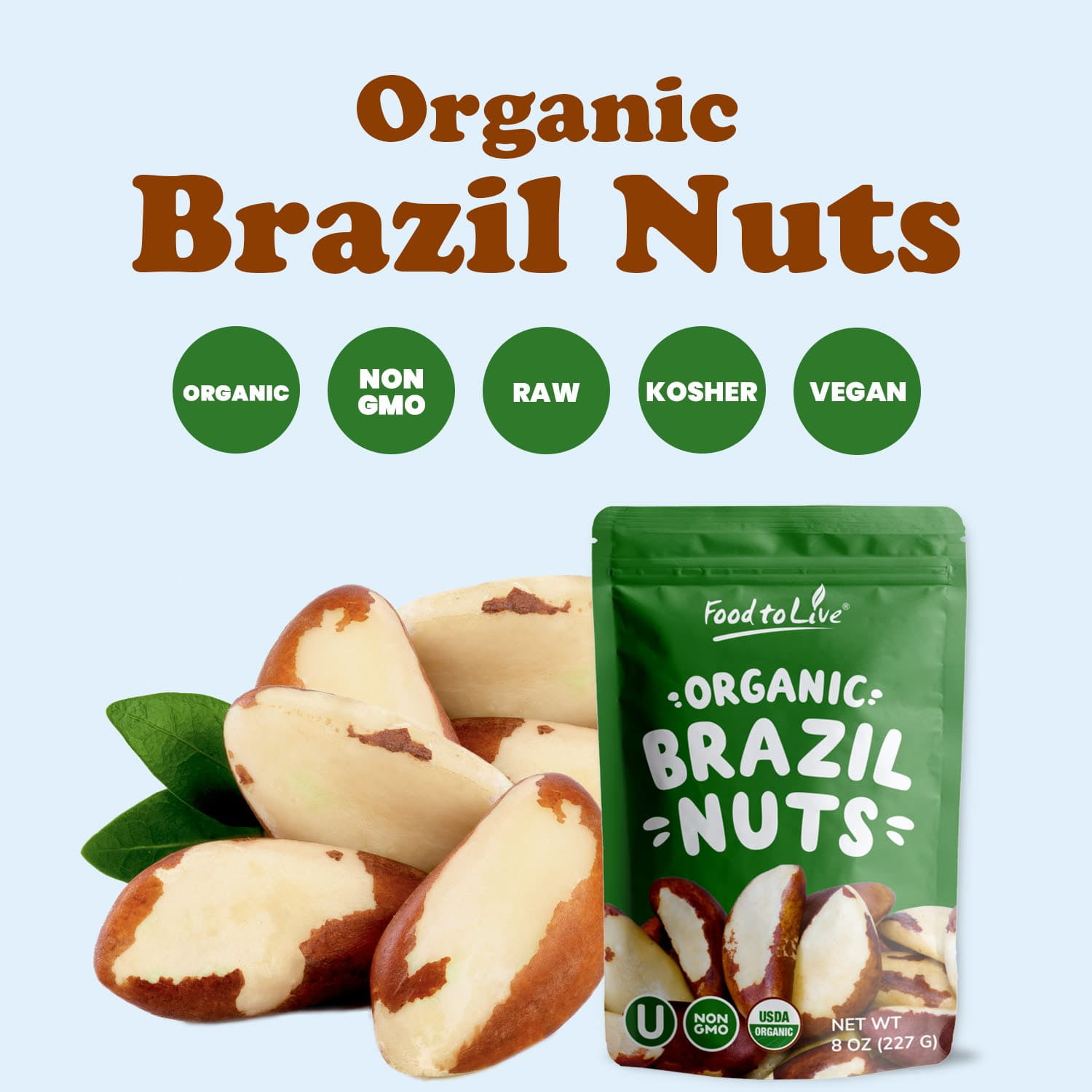 Brazil Nut Pieces —