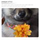 thumbnail image 5 of unbranded 20Ud Collar Floral Para Mascotas Pequeñas Ideal Para Fiestas Y, 5 of 6