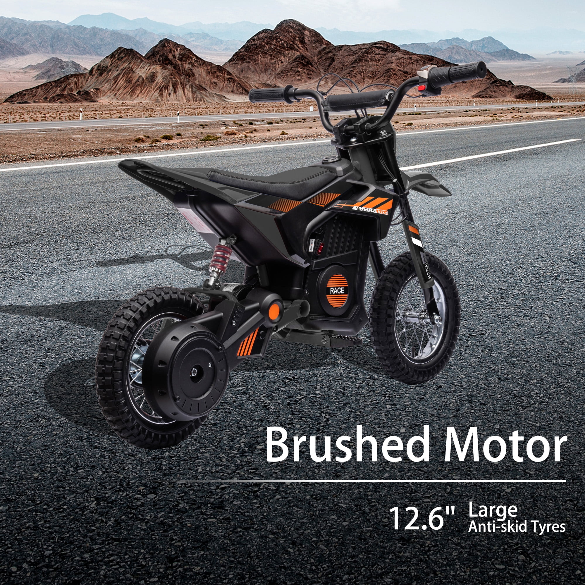 NEECHIPRO Electric Dirt Bike, 24V Electric Motorcycle Ride on Bicycle for Teens 13+,250W 13mph Max Speed,Black