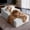 Light Grey, variant on Small Chaise Lounge, Compressed Modular Chaise Lounge Sofa, Striped Corduroy Memory Foam Daybed, Single Lazy Floor Couch for Living Room Bedroom, Beige