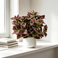 thumbnail image 5 of Artificial Perilla Available In Multiple Colors PerfectS For Home Interior Decoration Artificial Leaves And Background Wall Landscaping, 5 of 5