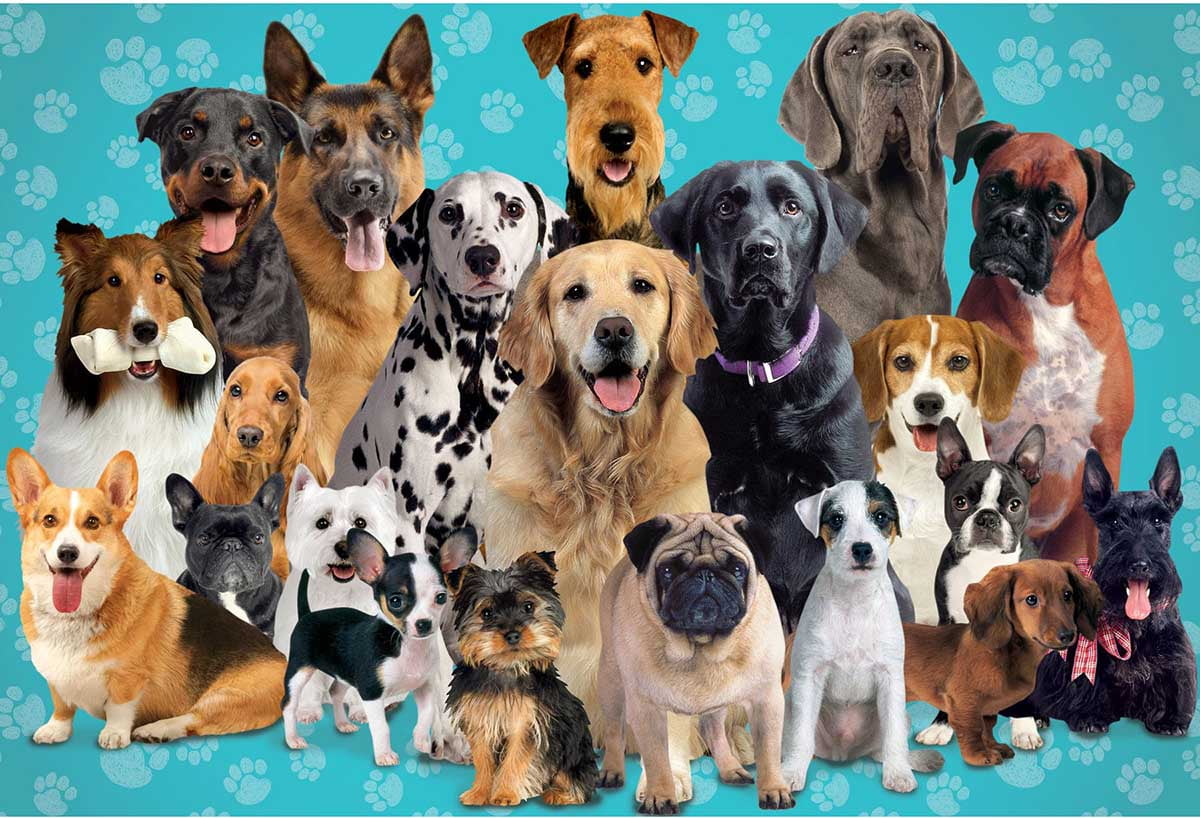 1000 piece dog puzzles