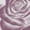 White, variant on Vintage Purple Rose Sketch Floral Graphic Tees Womans Tshirt Shirts Black White S-5XL Tops