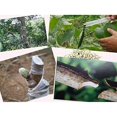 thumbnail image 4 of 10 Piezas Cinta de Injerto Cinta Estirable de Injerto de Vivero Cinta de Película Cinta Adhesiva Cinta Estirable Cinta de Barrera de Humedad para Reparación de Plantas de Injerto 2 cm, Verde, 4 of 5