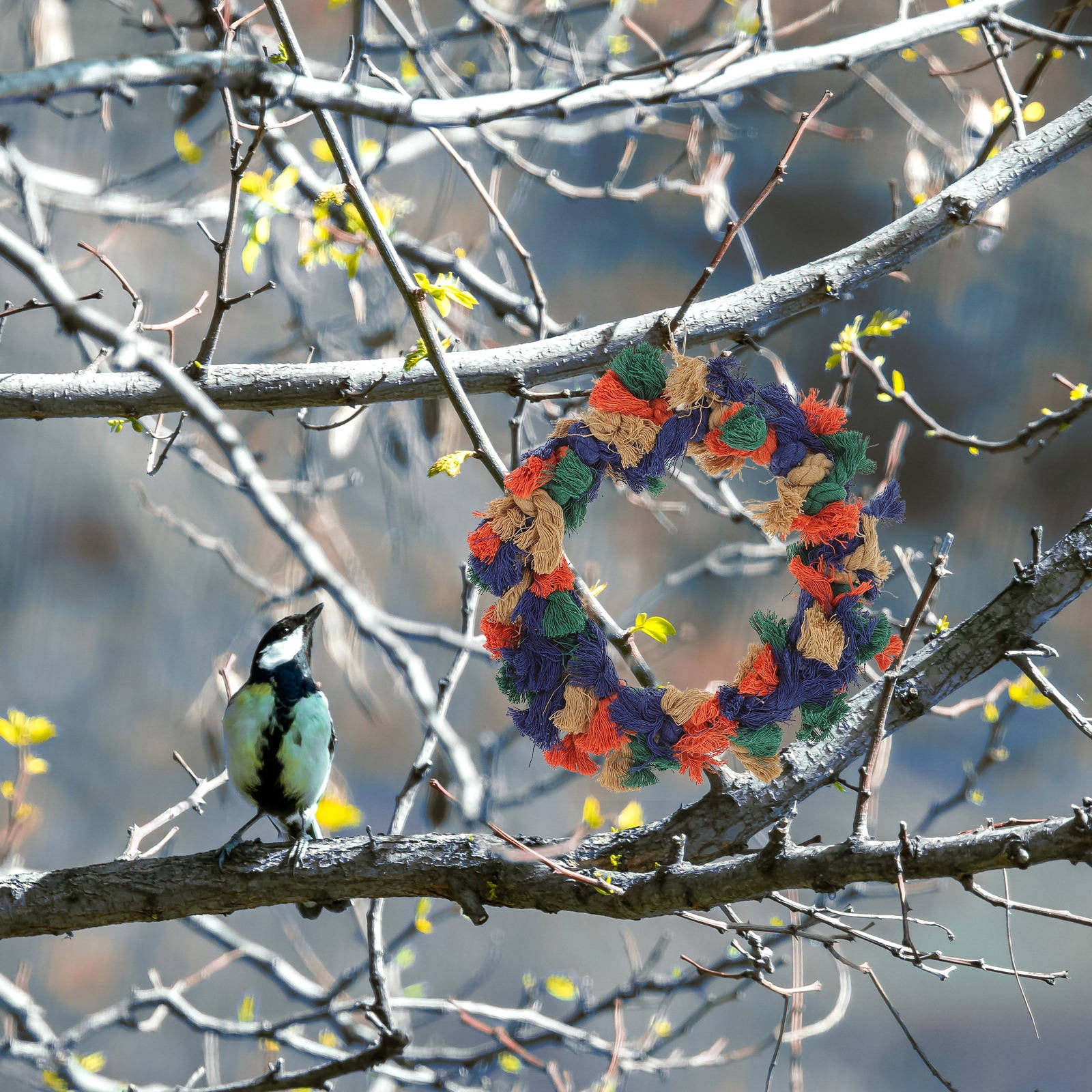 OFFIGAM Bird Chewing Toy for Parrots, 1PC Cotton Rope for Indoor Exercise and Entertainment