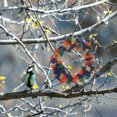 thumbnail image 4 of FOLOYORI 1Ud Parrot Rope Toys Diseñados Para Colgar Con Materiales Durables Y Colores Atractivos, 4 of 6