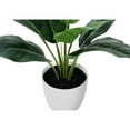 thumbnail image 6 of Artificial Plant - 17" Tall - Aureum - Indoor - Table - Potted - Green Leaves, 6 of 6