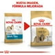 thumbnail image 3 of Alimento para perro Royal Canin Shih Tzu de 4.5Kg Royal Canin Shi Tzu, 3 of 3