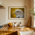 thumbnail image 4 of North American Bald Eagle in profile - Photography Wildlife Bird Animal Nature Portrait Patriotic Unframed Wall Art Print 32 x 48 inches, 4 of 7