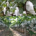 thumbnail image 6 of 50PCS Fruit Protection Bags, Pest Control Netting Mesh Bag for Blueberry Tomato Grape Dragon Fruit, Insect Bird Barrier for Garden Plant Harvest, Reusable Drawstring Bag, 6 of 10