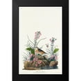 thumbnail image 2 of Audubon, John James 10x14 Black Modern Framed Museum Art Print Titled - Yellow-winged Sparrow, 2 of 5