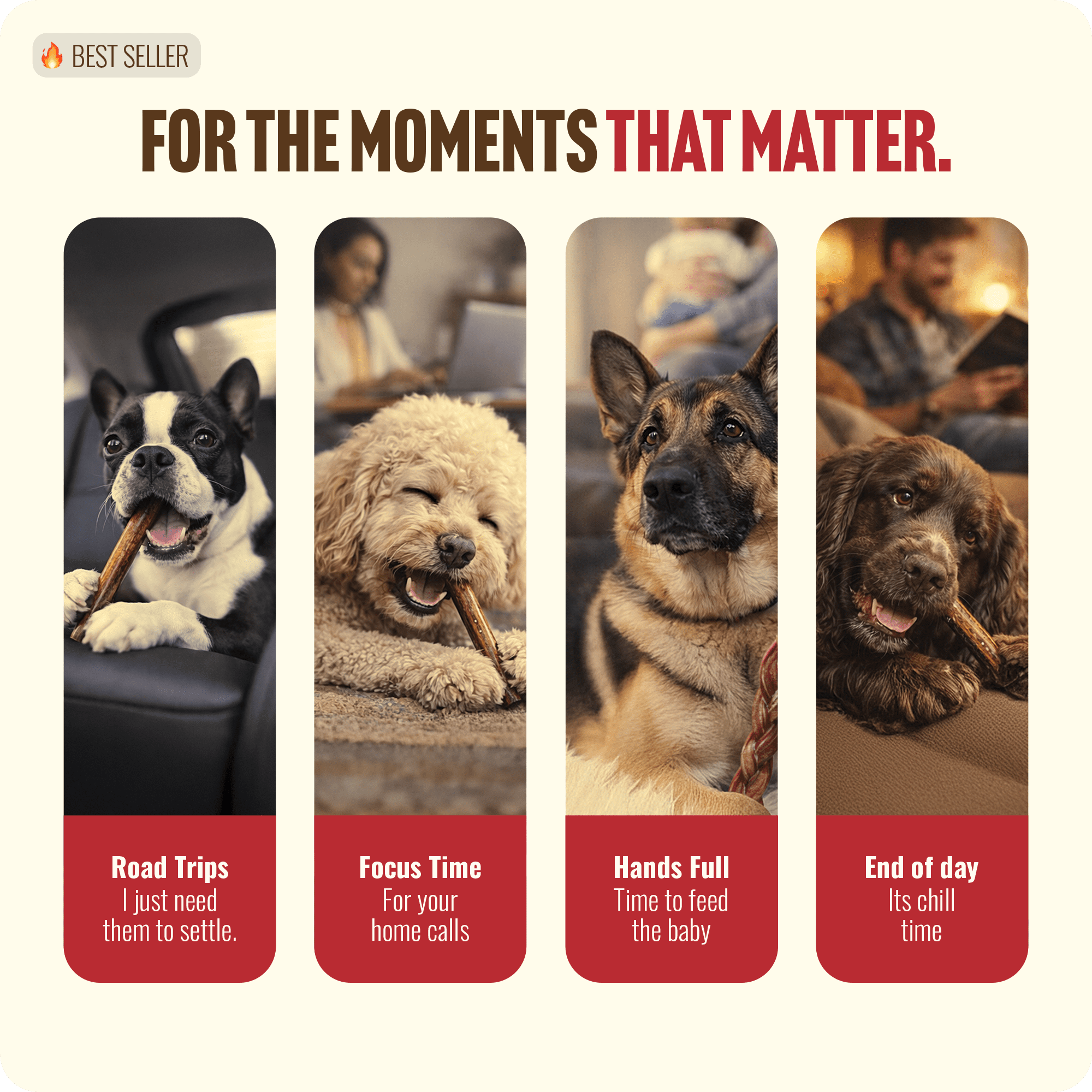Natural Farm Odor-Free Thin Bully Sticks (12”, 25-Pack) All-Natural Long-Lasting Dog Chews, 100% Beef Pizzle, Grass-Fed, Grain-Free, Protein for Muscle Development & Energy, Perfect for Large Dogs