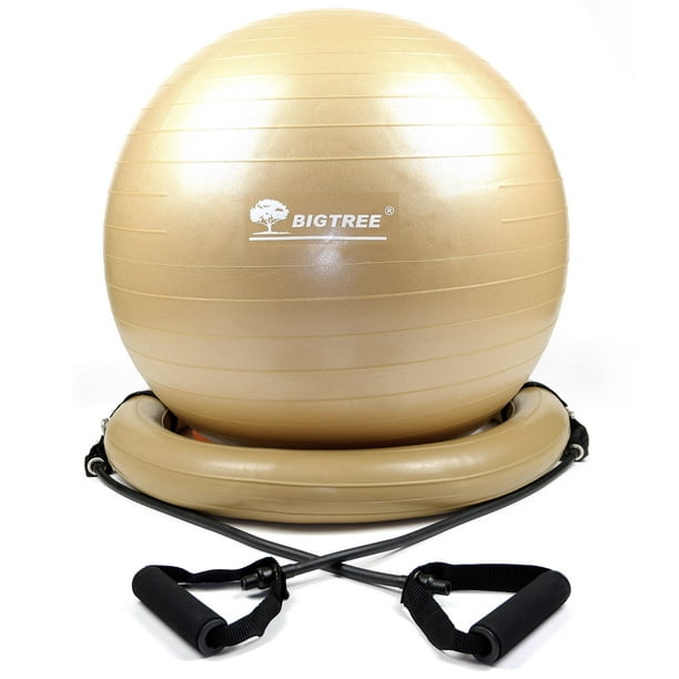 BIGTREE Exercise Ball Chair with Resistance Bands, Perfect for Office