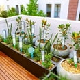 thumbnail image 6 of Automatic Watering Device for Potted Plants | Adjustable Drip Irrigation Spikes | Large Capacity, 12 Pack Self-Watering System | Fits 21-25mm Bottles | Indoor Outdoor Planter Moisture Control, 6 of 9
