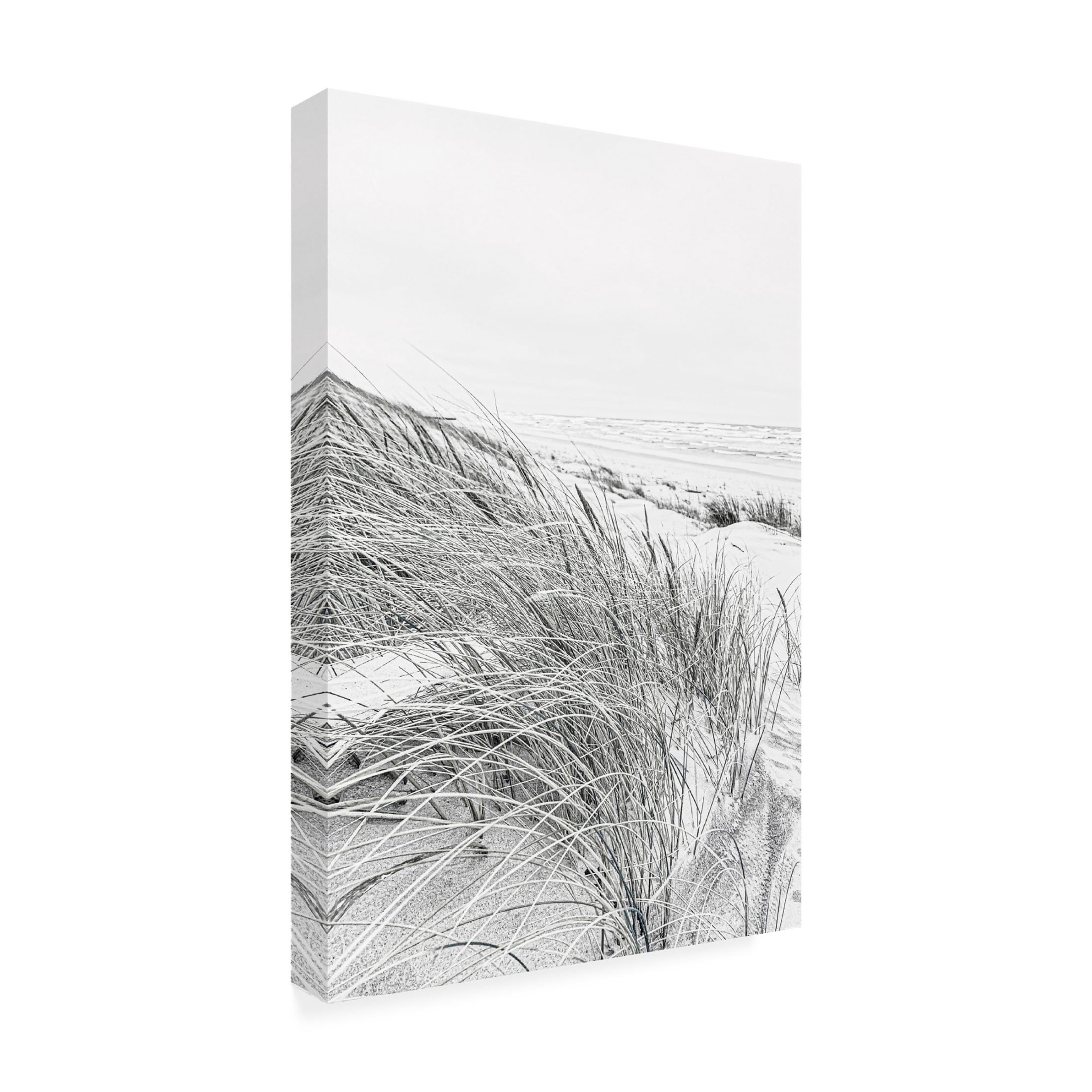 Canvas Wall Art - Incado 'Coastal III' Wall Art for Living Room, Bedroom, or Office Décor by Trademark Fine Art - 22 x 32 Inches