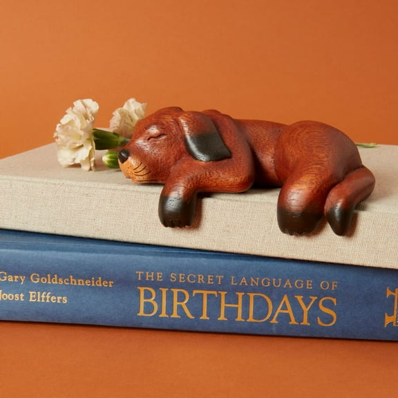 Brown Sleeping Shelf Dog