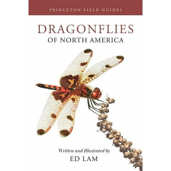 Princeton Field Guides Dragonflies of North America, Book 167, (Paperback)