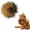 Ball/1pcs, variant on Cat Toy Faux Fur Ball, 2026 New Soft Fur Catnip Balls, Fluffy Catnip Toy for Indoor Cats, Washable & Fun to Chase for Exercise and Bonding (Ball/1pcs)