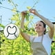 thumbnail image 5 of Plastic Garden Vine Strapping Clips Set for Tomato and Grapevine Plant Support, 5 of 5