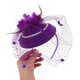 thumbnail image 3 of IFANLANDOR Para El Con Y Plumas Moradas Para Eventos Y Celebraciones, 3 of 6
